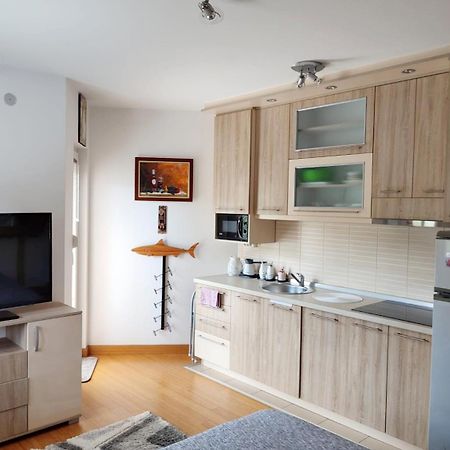 Apartman Lux Sneznik Vrnjačka Banja Exteriér fotografie