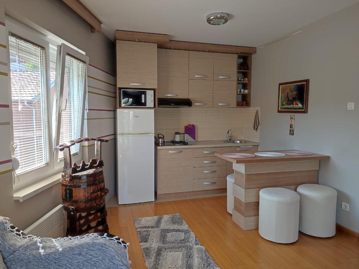 Apartman Lux Sneznik Vrnjačka Banja Exteriér fotografie